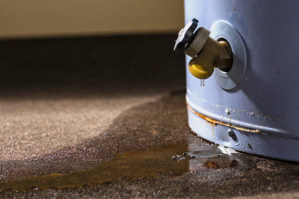 Best Flood damage cleanup  in Homeland Park, SC