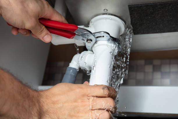 Best Water damage restoration mold remediation  in Homeland Park, SC