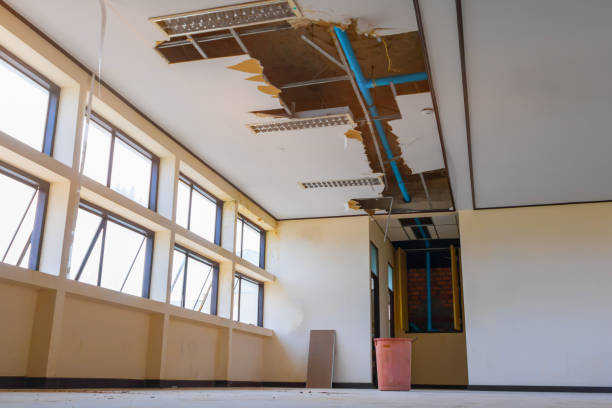 Best Carpet water damage restoration  in Homeland Park, SC