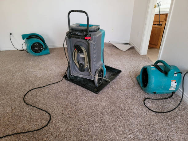 Best Residential water damage restoration  in Homeland Park, SC