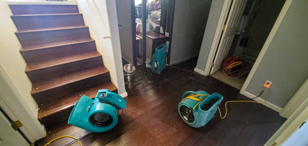 Best Emergency water damage restoration  in Homeland Park, SC