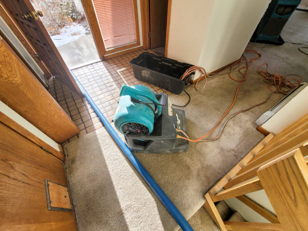 Best Sewage cleanup and water damage restoration  in Homeland Park, SC