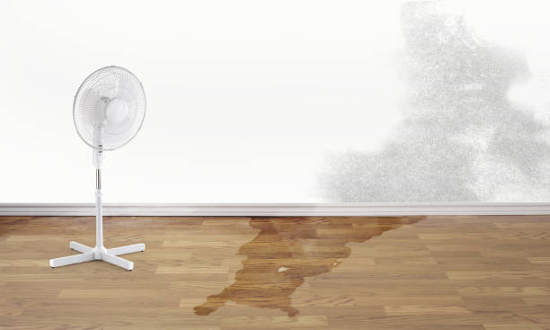 Best Residential water damage restoration  in Homeland Park, SC
