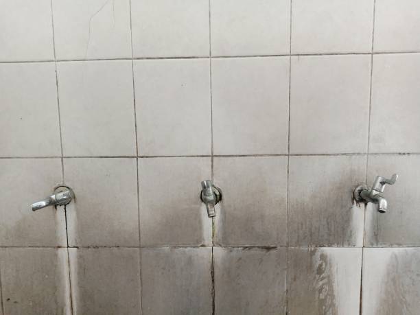 Best Water damage restoration company  in Homeland Park, SC