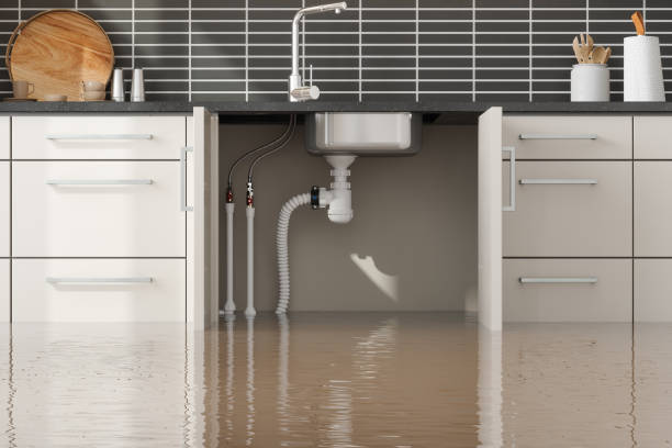 Best Basement water damage restoration  in Homeland Park, SC