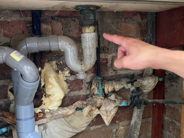 Best Water damage cleanup near me  in Homeland Park, SC