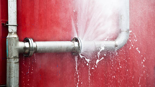 Best Mold removal after water damage  in Homeland Park, SC